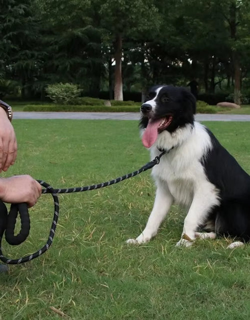 Load image into Gallery viewer, Pet Reflective Leash Nylon round Leash Explosionproof Punch Leash Dog Walking round Leash without Strangulation