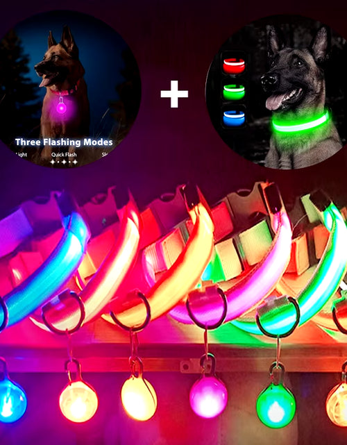 Load image into Gallery viewer, Usb Charging Glowing Dog Collar with Pendant Detachable Luxury Led Light Bright for Small Dogs Cat Night Safety Collar Wholesale
