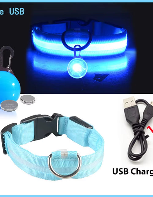 Load image into Gallery viewer, Usb Charging Glowing Dog Collar with Pendant Detachable Luxury Led Light Bright for Small Dogs Cat Night Safety Collar Wholesale