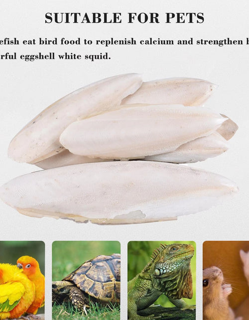 Load image into Gallery viewer, Cuttlefish Bone Natural Cuttlebone Parrot Chew Toys Parrot Calcium Supplements for Bird Cockatiel Parakeet Parrot