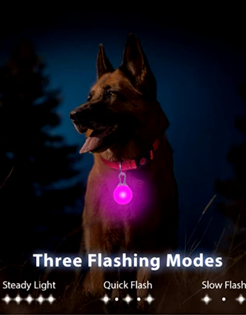 Load image into Gallery viewer, Usb Charging Glowing Dog Collar with Pendant Detachable Luxury Led Light Bright for Small Dogs Cat Night Safety Collar Wholesale