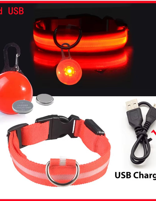 Load image into Gallery viewer, Usb Charging Glowing Dog Collar with Pendant Detachable Luxury Led Light Bright for Small Dogs Cat Night Safety Collar Wholesale