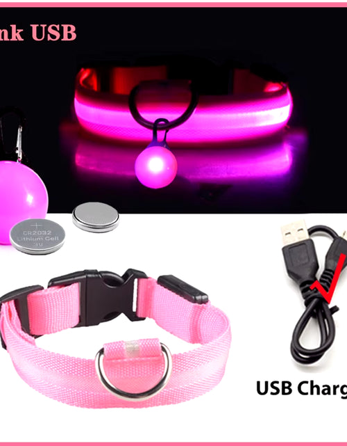 Load image into Gallery viewer, Usb Charging Glowing Dog Collar with Pendant Detachable Luxury Led Light Bright for Small Dogs Cat Night Safety Collar Wholesale