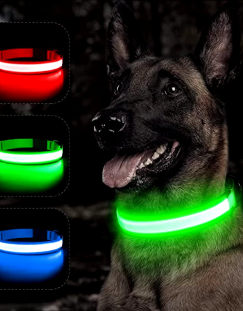 Load image into Gallery viewer, Usb Charging Glowing Dog Collar with Pendant Detachable Luxury Led Light Bright for Small Dogs Cat Night Safety Collar Wholesale