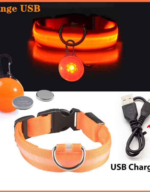 Load image into Gallery viewer, Usb Charging Glowing Dog Collar with Pendant Detachable Luxury Led Light Bright for Small Dogs Cat Night Safety Collar Wholesale