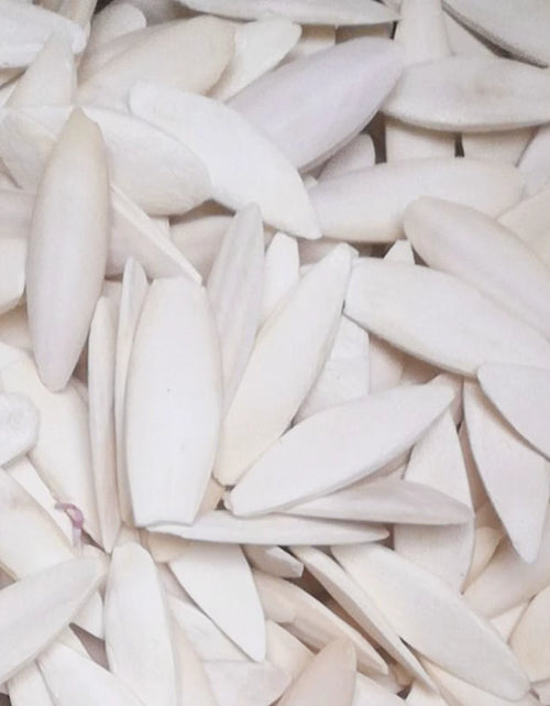 Load image into Gallery viewer, Cuttlefish Bone Natural Cuttlebone Parrot Chew Toys Parrot Calcium Supplements for Bird Cockatiel Parakeet Parrot