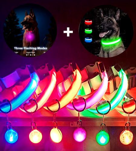 Usb Charging Glowing Dog Collar with Pendant Detachable Luxury Led Light Bright for Small Dogs Cat Night Safety Collar Wholesale