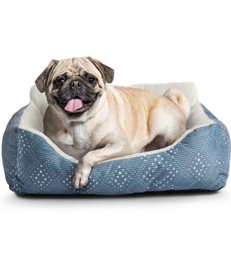 Lounger Small Dog or Cat Bed, Blue 21" X 17"
