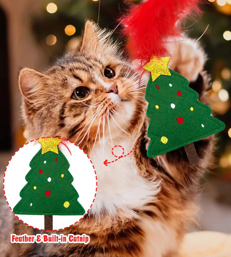 Cat Christmas Stocking, 10 Pack Christmas Cat Toys, Interactive Cat Feather Toy with Catnip, Ball
