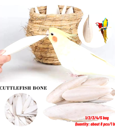 Cuttlefish Bone Natural Cuttlebone Parrot Chew Toys Parrot Calcium Supplements for Bird Cockatiel Parakeet Parrot